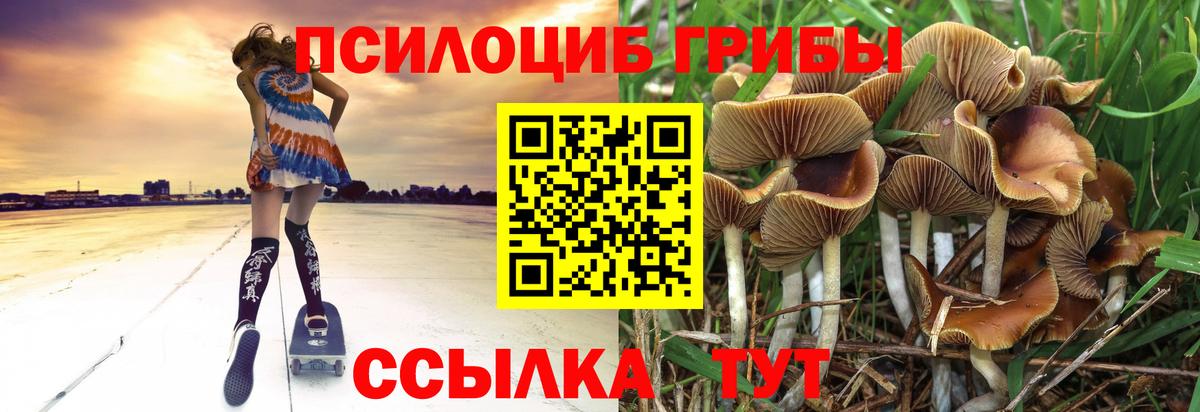 Галлюциногенные грибы мицелий  Вход с VPN  Галлюциногенные грибы Psilocybe  Кызыл 