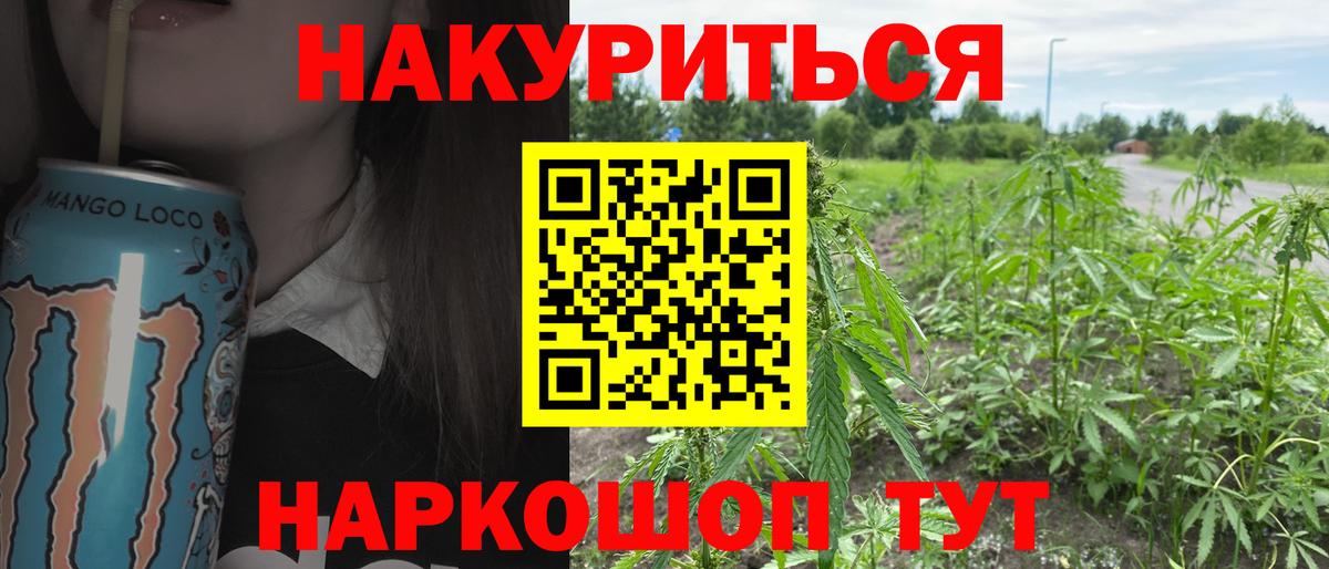 МАРИХУАНА сатива  Конопля гибрид  Кызыл  Вход с VPN 